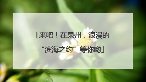 来吧！在泉州，浪漫的“滨海之约”等你哟