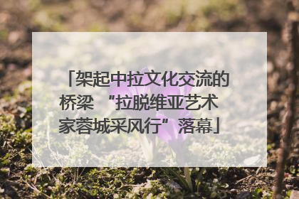 架起中拉文化交流的桥梁 “拉脱维亚艺术家蓉城采风行”落幕