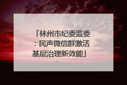 林州市纪委监委：民声微信群激活基层治理新效能