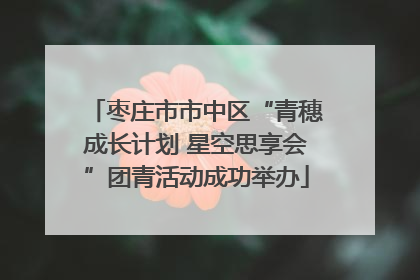 枣庄市市中区“青穗成长计划 星空思享会”团青活动成功举办