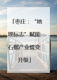 枣庄：“地理标志”赋能石榴产业蝶变升级