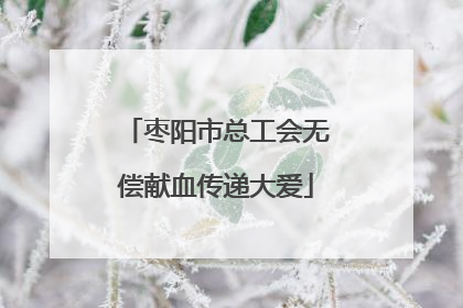 枣阳市总工会无偿献血传递大爱