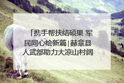携手帮扶结硕果 军民同心绘新篇∣赫章县人武部助力大凉山村阔步乡村振兴路
