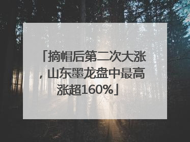 摘帽后第二次大涨，山东墨龙盘中最高涨超160%