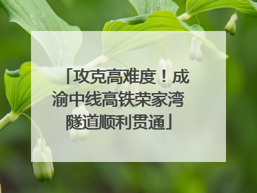 攻克高难度！成渝中线高铁荣家湾隧道顺利贯通