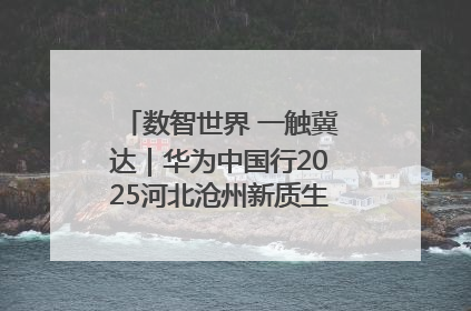 数智世界 一触冀达｜华为中国行2025河北沧州新质生产力峰会成功举办