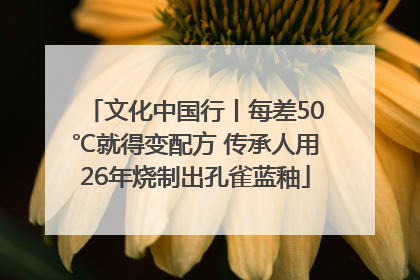 文化中国行丨每差50℃就得变配方 传承人用26年烧制出孔雀蓝釉