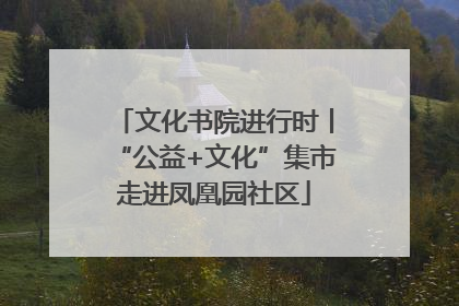 文化书院进行时丨“公益+文化”集市走进凤凰园社区