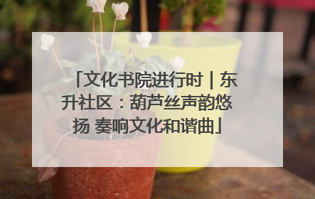 文化书院进行时｜东升社区：葫芦丝声韵悠扬 奏响文化和谐曲