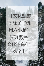 文化观察：除了“杭州六小龙” 浙江数字文化还有什么？