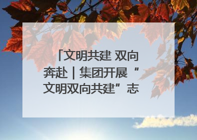 文明共建 双向奔赴｜集团开展“文明双向共建”志愿服务活动