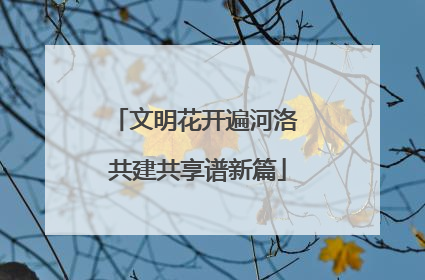 文明花开遍河洛 共建共享谱新篇