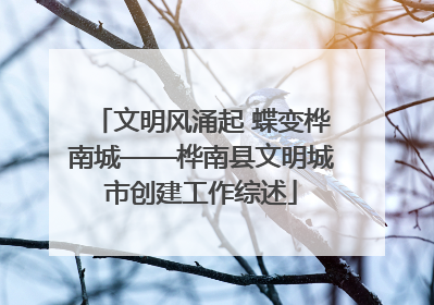 文明风涌起 蝶变桦南城——桦南县文明城市创建工作综述