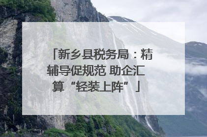 新乡县税务局：精辅导促规范 助企汇算“轻装上阵”