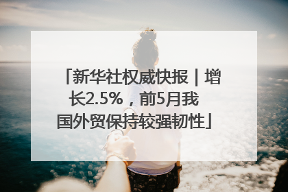 新华社权威快报｜增长2.5%，前5月我国外贸保持较强韧性