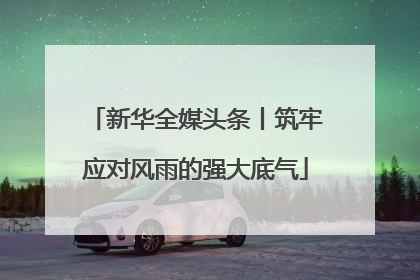 新华全媒头条丨筑牢应对风雨的强大底气