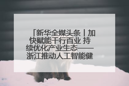 新华全媒头条丨加快赋能千行百业 持续优化产业生态——浙江推动人工智能健康有序发展观察
