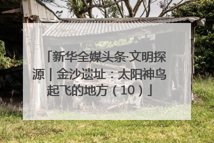 新华全媒头条·文明探源｜金沙遗址：太阳神鸟起飞的地方（10）