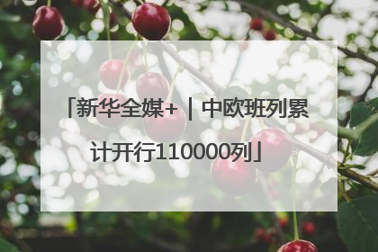 新华全媒+｜中欧班列累计开行110000列