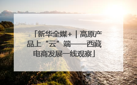 新华全媒+｜高原产品上“云”端——西藏电商发展一线观察
