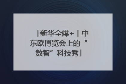 新华全媒+丨中东欧博览会上的“数智”科技秀