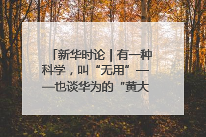 新华时论｜有一种科学，叫“无用”——也谈华为的“黄大年茶思屋”
