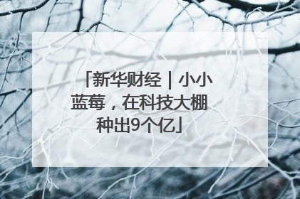 新华财经｜小小蓝莓，在科技大棚种出9个亿