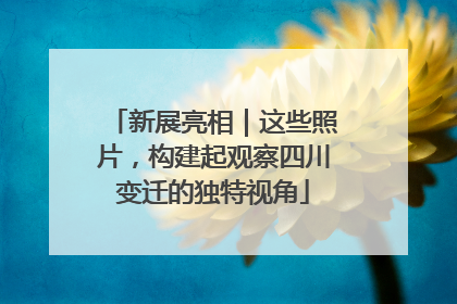 新展亮相｜这些照片，构建起观察四川变迁的独特视角