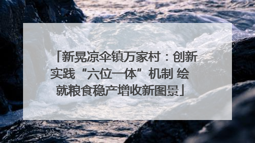 新晃凉伞镇万家村：创新实践“六位一体”机制 绘就粮食稳产增收新图景