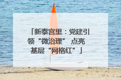新泰宫里：党建引领“微治理” 点亮基层“网格红”