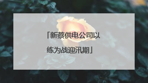 新蔡供电公司以练为战迎汛期
