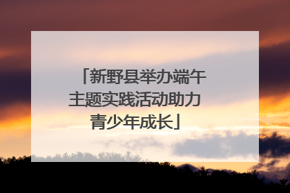 新野县举办端午主题实践活动助力青少年成长
