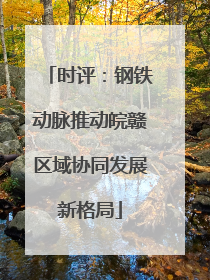 时评：钢铁动脉推动皖赣区域协同发展新格局
