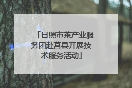 日照市茶产业服务团赴莒县开展技术服务活动