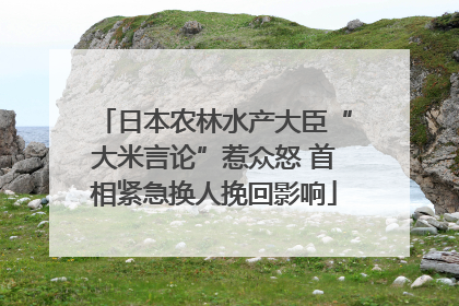 日本农林水产大臣“大米言论”惹众怒 首相紧急换人挽回影响