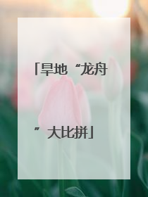 旱地“龙舟”大比拼