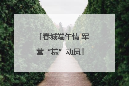 春城端午情 军营“粽”动员