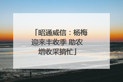 昭通威信：杨梅迎来丰收季 助农增收采摘忙