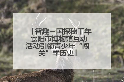 智趣三国探秘千年 襄阳市博物馆互动活动引领青少年“闯关”学历史