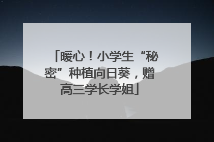 暖心！小学生“秘密”种植向日葵，赠高三学长学姐