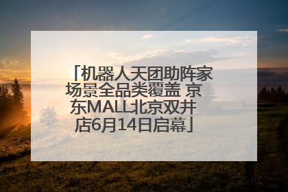 机器人天团助阵家场景全品类覆盖 京东MALL北京双井店6月14日启幕