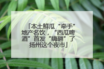 本土鲜瓜“牵手”地产名饮，“西瓜啤酒”首发“嗨翻”了扬州这个夜市