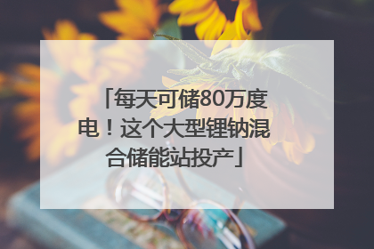 每天可储80万度电！这个大型锂钠混合储能站投产
