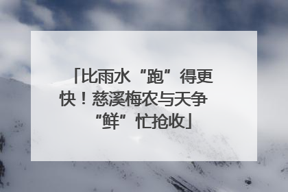 比雨水“跑”得更快！慈溪梅农与天争“鲜”忙抢收