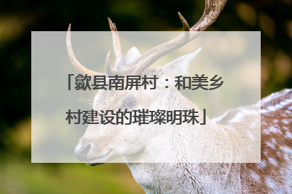 歙县南屏村：和美乡村建设的璀璨明珠