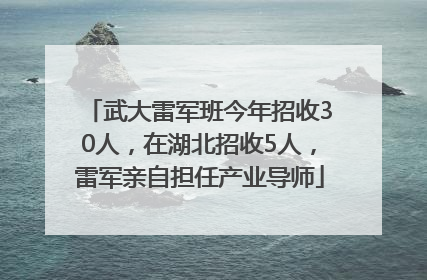 武大雷军班今年招收30人，在湖北招收5人，雷军亲自担任产业导师