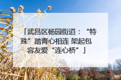 武昌区杨园街道：“特殊”踏青心相连 架起包容友爱“连心桥”