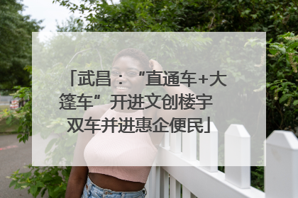 武昌：“直通车+大篷车”开进文创楼宇 双车并进惠企便民
