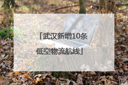 武汉新增10条低空物流航线