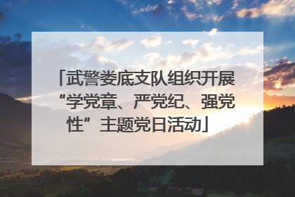 武警娄底支队组织开展“学党章、严党纪、强党性”主题党日活动